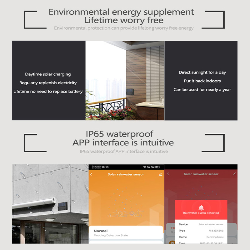 Tuya Zigbee Rain Sensor การแจ้ - Home Automation Tutorial บทวิจารณ์และราคา